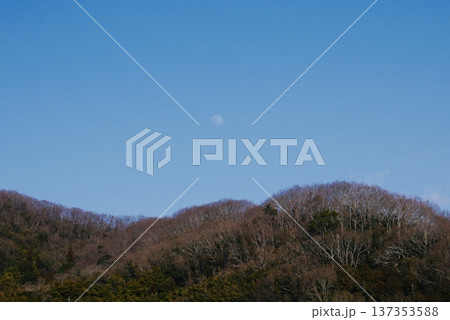 夕暮れの山から登った月 夕暮れの山から登った月 137353588