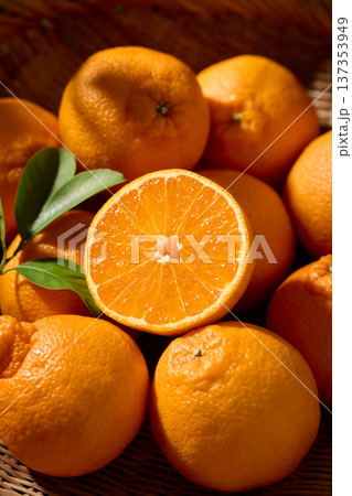 かごに盛ったデコポン 137353949