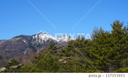 天女山 登山道から見える八ヶ岳連峰 天女山 登山道から見える八ヶ岳連峰 137353953