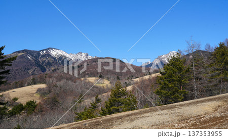 天女山 登山道から見える八ヶ岳連峰 137353955