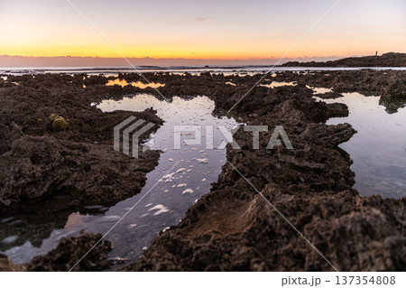 屋久島最大の隆起サンゴ礁　春田海岸の夜明け(冬 137354808