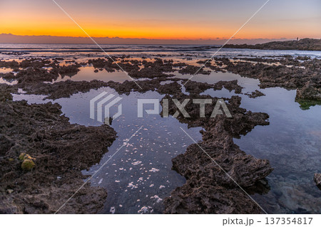 屋久島最大の隆起サンゴ礁　春田海岸の夜明け(冬 137354817