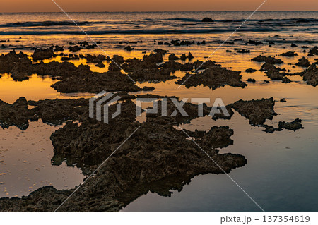 屋久島最大の隆起サンゴ礁　春田海岸の夜明け(冬 137354819