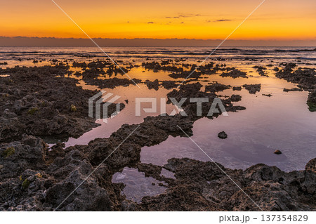 屋久島最大の隆起サンゴ礁　春田海岸の夜明け(冬 137354829