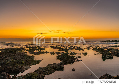 屋久島最大の隆起サンゴ礁　春田海岸の夜明け(冬 137354836