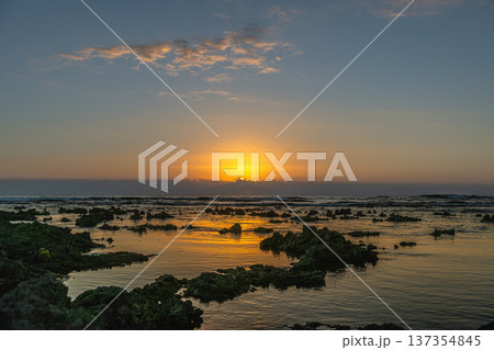 屋久島最大の隆起サンゴ礁　春田海岸の夜明け(冬 137354845