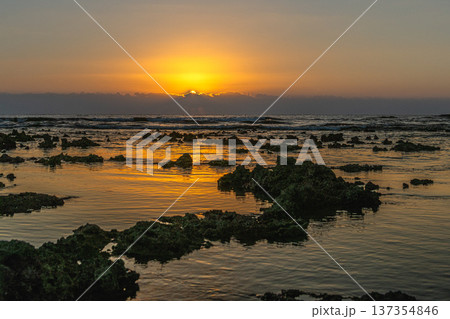 屋久島最大の隆起サンゴ礁 春田海岸の夜明け(冬 屋久島最大の隆起サンゴ礁 春田海岸の夜明け(冬 137354846