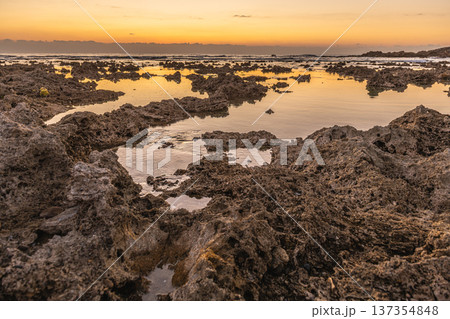 屋久島最大の隆起サンゴ礁 春田海岸の夜明け(冬 屋久島最大の隆起サンゴ礁 春田海岸の夜明け(冬 137354848