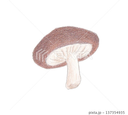 色えんぴつ画のしいたけ 色えんぴつ画のしいたけ 137354935