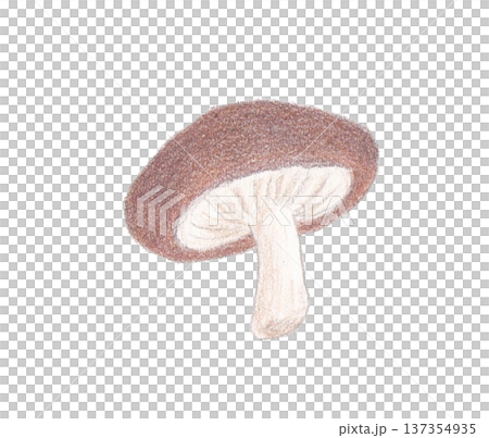 Shiitake mushrooms drawn with colored pencils 137354935