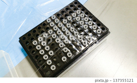 整然と並べられたマイクロチューブのラック 137355121