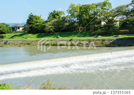 かな川辺の流れと緑あふれる自然 かな川辺の流れと緑あふれる自然 137355165