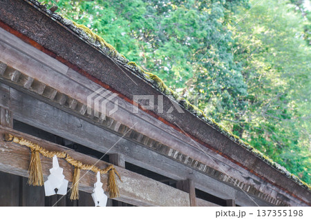 苔むした茅葺き屋根の神社 137355198