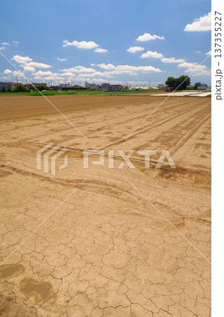 初夏の郊外のひび割れた休耕地風景 初夏の郊外のひび割れた休耕地風景 137355227