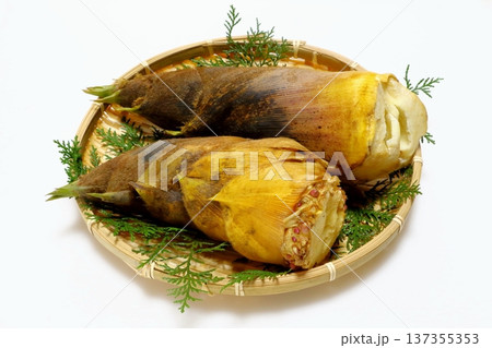 タケノコ(春イメージ) タケノコ(春イメージ) 137355353