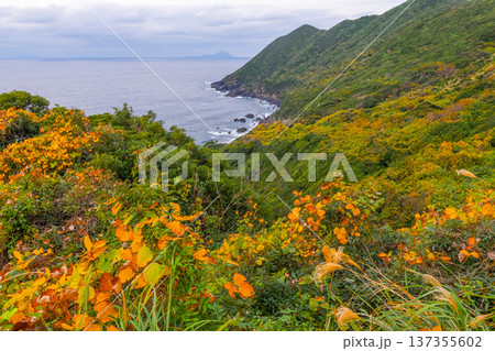 屋久島せんろく鼻　きれいな紅葉(冬 137355602