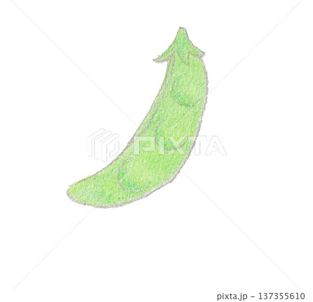 色えんぴつ画のえんどう豆 色えんぴつ画のえんどう豆 137355610