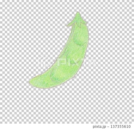 色えんぴつ画のえんどう豆 色えんぴつ画のえんどう豆 137355610