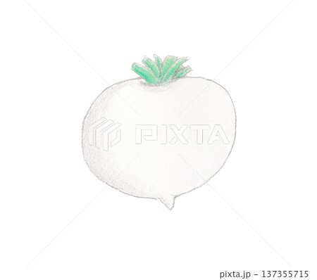 色えんぴつ画のかぶ 137355715