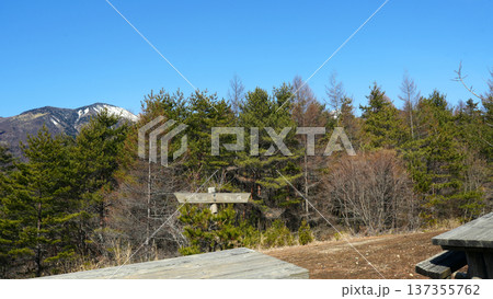 天女山 登山道 137355762