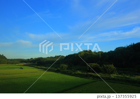 爽やかな青空と田園風景 爽やかな青空と田園風景 137355925
