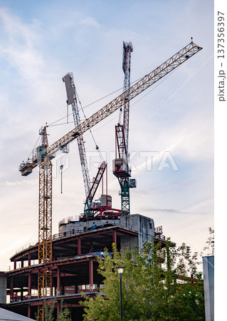 Cranes constructing a modern building in urban development, reaching for the sky Cranes constructing a modern building in urban development, reaching for the sky 137356397
