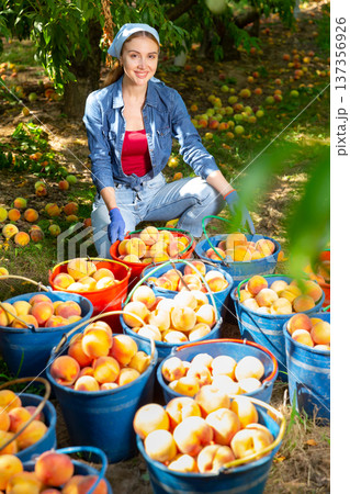 Woman and buckets of peaches 137356926