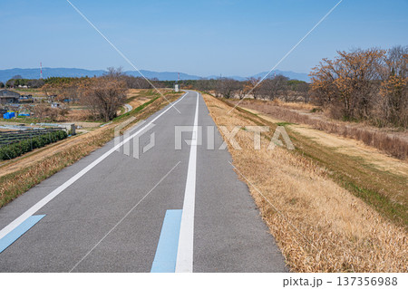 木津川堤防上のサイクリングロード 京奈和自転車道 京都府京田辺市 木津川堤防上のサイクリングロード 京奈和自転車道 京都府京田辺市 137356988