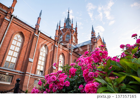Historic Gothic cathedral in Moscow, Russia, surrounded by vibrant blooming pink roses 137357165