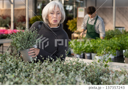 Woman holds peas with a eucalyptus bush in her hands 137357243