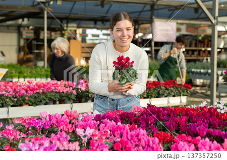 Young woman buy potted cyclamen plant in shop Young woman buy potted cyclamen plant in shop 137357250