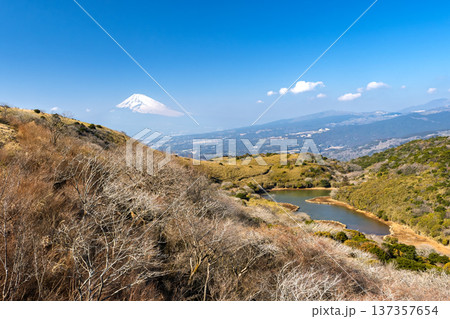 伊豆スカイライン・玄岳駐車場から氷ヶ池と富士山・冬の風景 137357654
