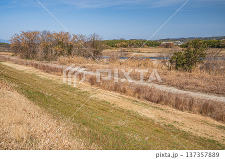 木津川左岸堤防上からの河川敷風景 京都府京田辺市 木津川左岸堤防上からの河川敷風景 京都府京田辺市 137357889