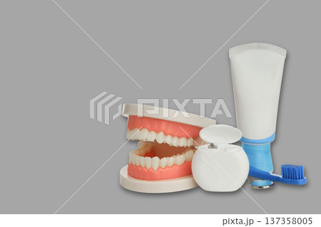 Teeth models with toothbrush, floss, and toothpaste 137358005