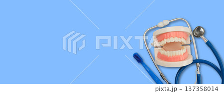 Model mouth with dental tools placed on a blue surface 137358014