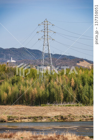 木津川河川敷の竹林に立つ鉄塔 京都府城陽市 木津川河川敷の竹林に立つ鉄塔 京都府城陽市 137358051