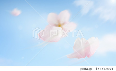 青空に舞う桜の花びら 生成AI 137358054