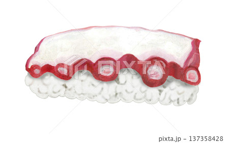 握り寿司 - タコ 137358428