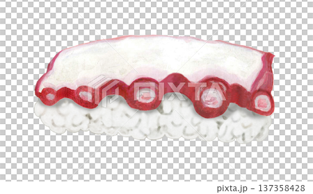 握り寿司 - タコ 137358428