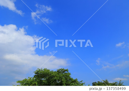 青空に浮かぶ雲 青空に浮かぶ雲 137358499