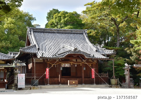 三重県四日市市 諏訪神社拝殿と境内 三重県四日市市 諏訪神社拝殿と境内 137358587
