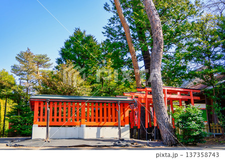 東京都　西東京市　東伏見稲荷神社　お塚参り　千本鳥居の庭 137358743