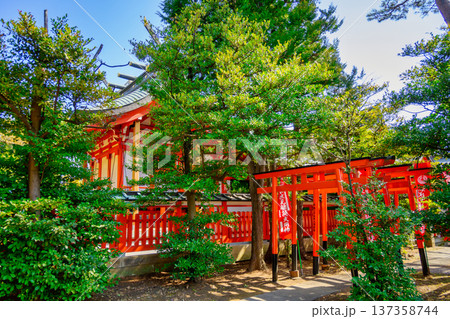 東京都　西東京市　東伏見稲荷神社　お塚参り　千本鳥居の庭 137358744