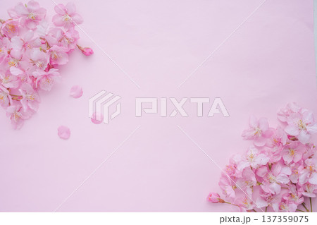 春イメージ 桜の花びら 春イメージ 桜の花びら 137359075