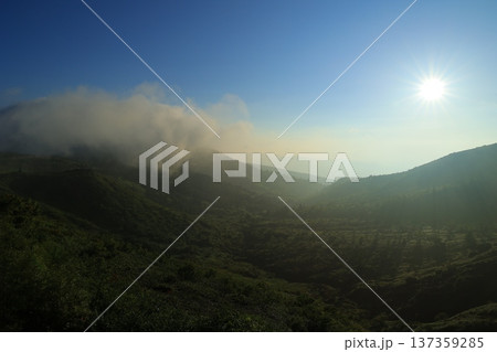 霧に包まれる山々 霧に包まれる山々 137359285