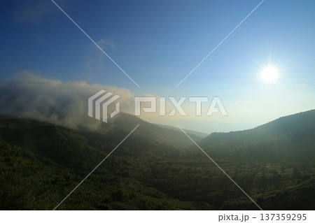 霧に包まれる山々 霧に包まれる山々 137359295