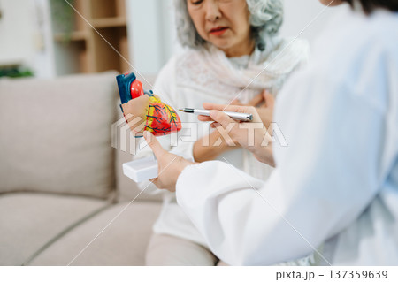 Female doctor explaining heart health with anatomy model to senior woman. Healthcare, cardiology, medical consultation, elderly care, prevention Female doctor explaining heart health with anatomy model to senior woman. Healthcare, cardiology, medical consultation, elderly care, prevention 137359639