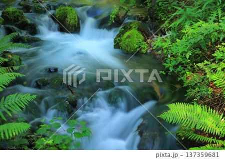滝のある風景 滝のある風景 137359681
