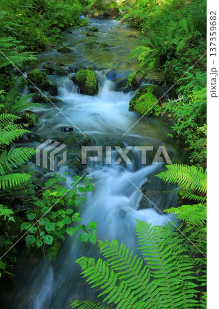 滝のある風景 137359682