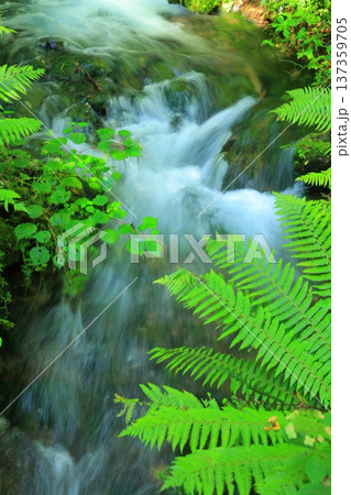 滝のある風景 137359705